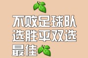 -热门队伍迎接挑战，全力争夺胜利的机会