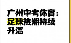 爱游戏体育-足球热潮席卷全球，胜利之路注定绚丽多彩
