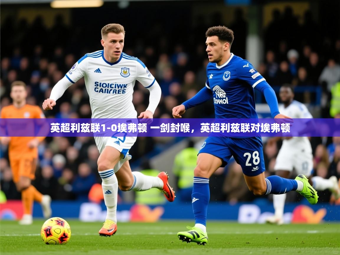 2025爱游戏登录地址英超利兹联1-0埃弗顿 一剑封喉,英超利兹联对埃弗顿 第1张