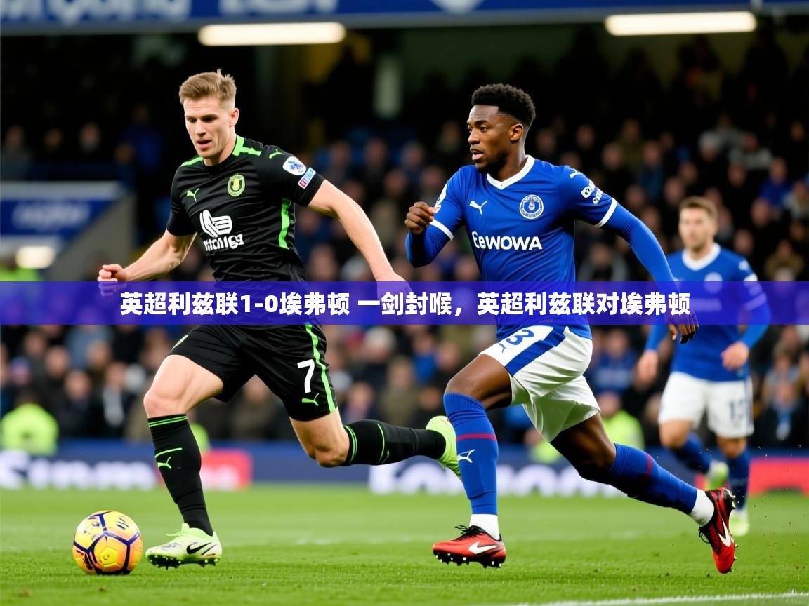2025爱游戏登录地址英超利兹联1-0埃弗顿 一剑封喉,英超利兹联对埃弗顿 第3张