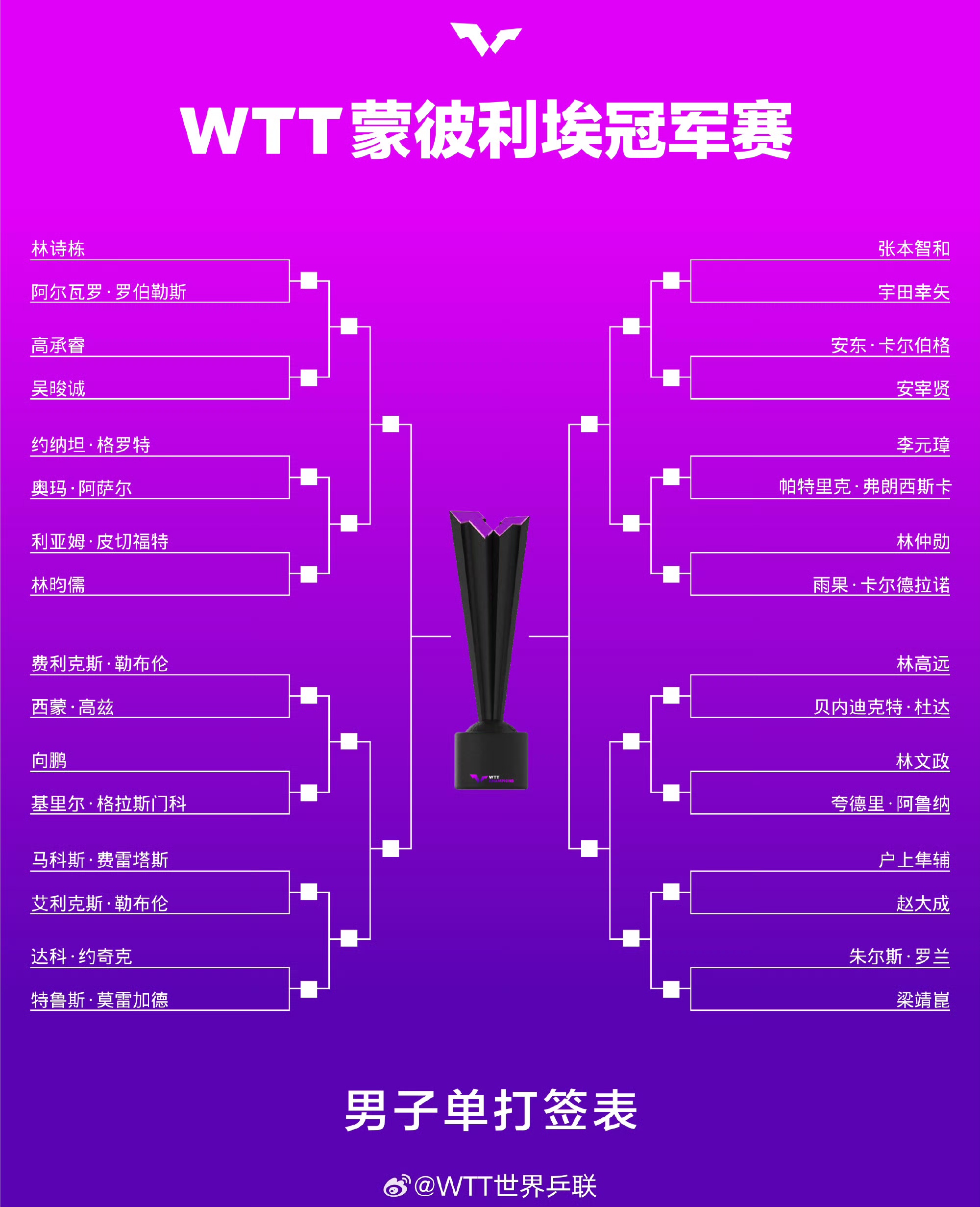 备受关注的比赛，谁将成为冠军